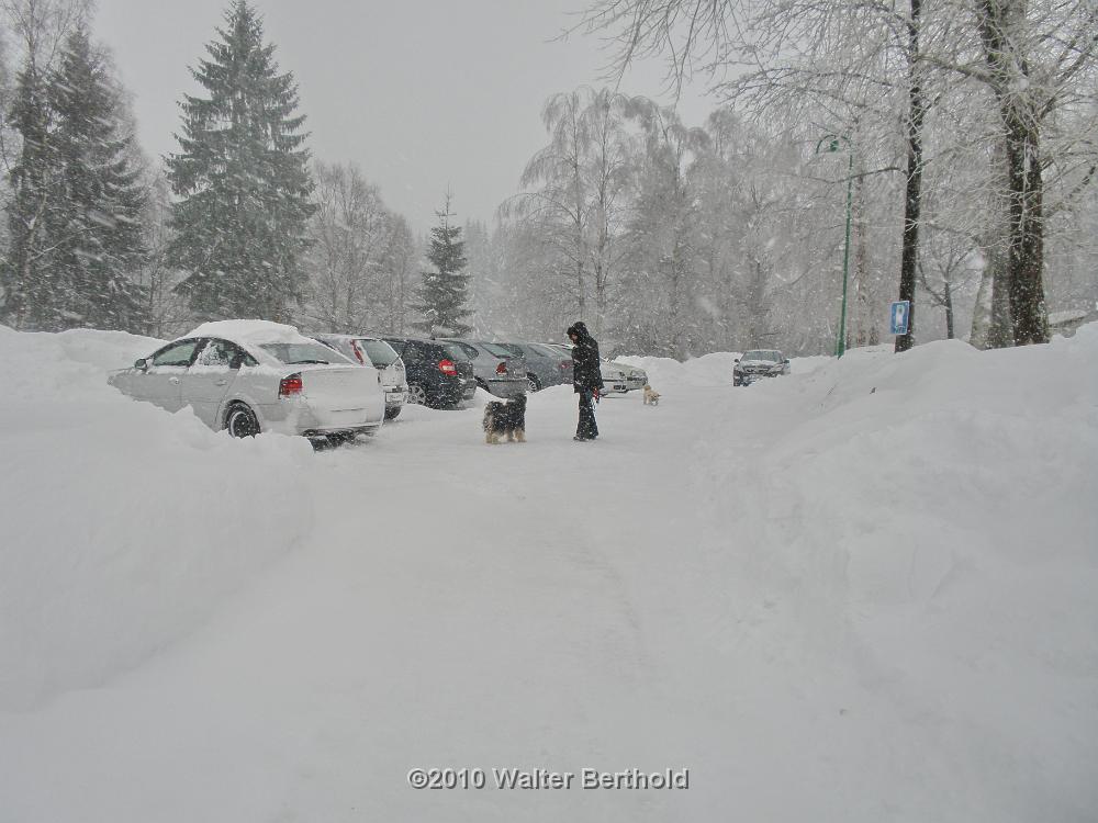 Vogtland 2010 034