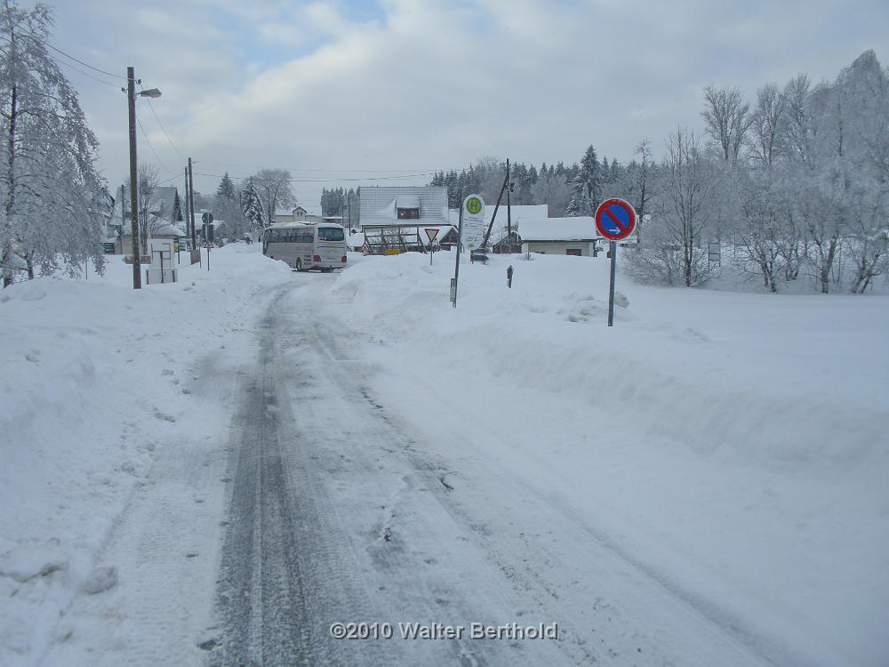 Vogtland 2010 047