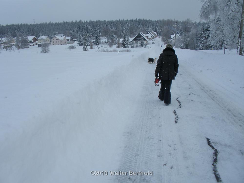 Vogtland 2010 048