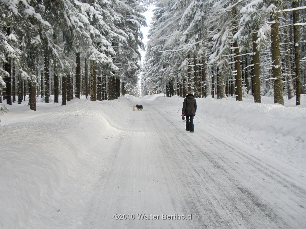 Vogtland 2010 049