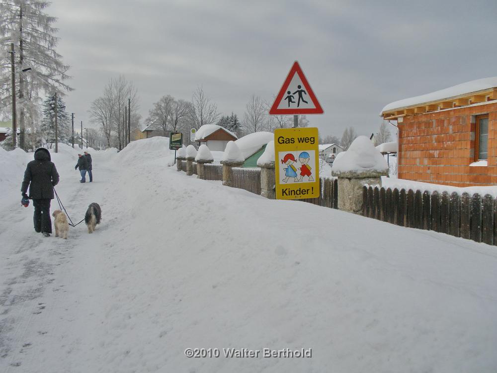 Vogtland 2010 058