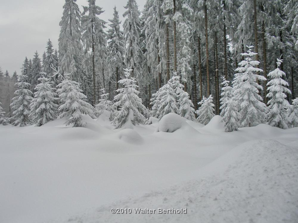 Vogtland 2010 060