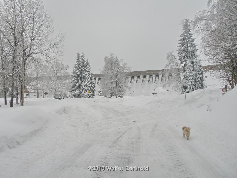 Vogtland 2010 063