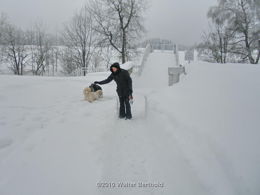 Vogtland 2010 073