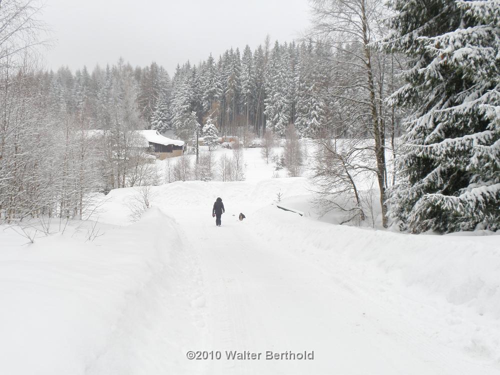 Vogtland 2010 114