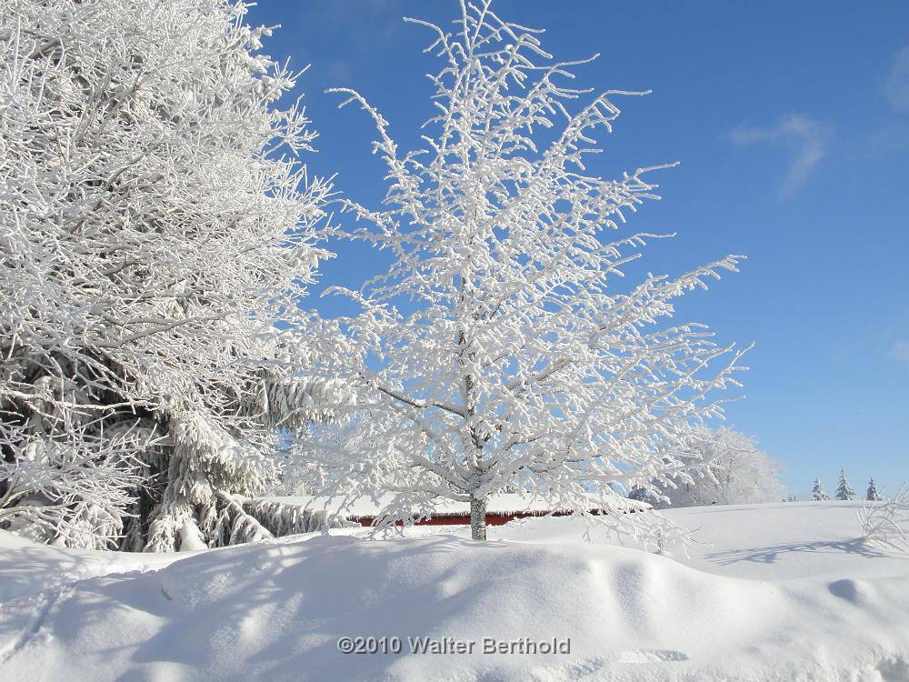 Vogtland 2010 117