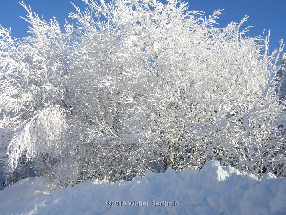 Vogtland 2010 124