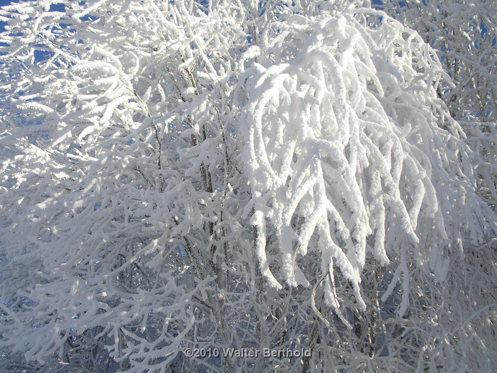 Vogtland 2010 125