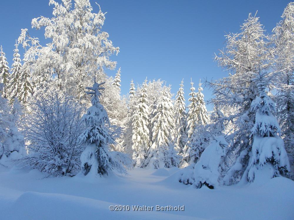 Vogtland 2010 132