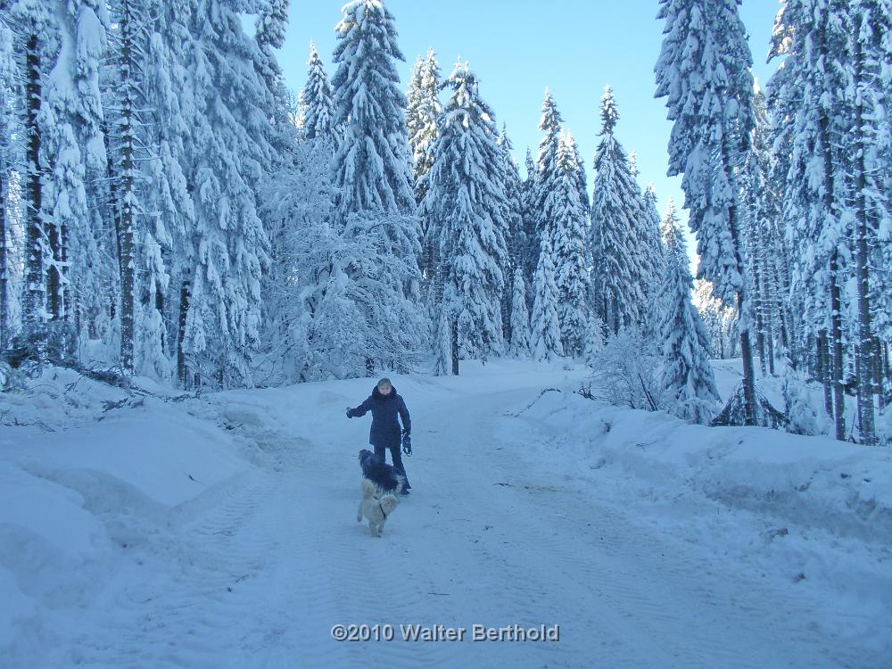 Vogtland 2010 137