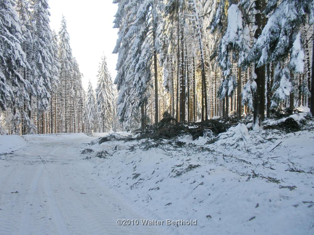 Vogtland 2010 138