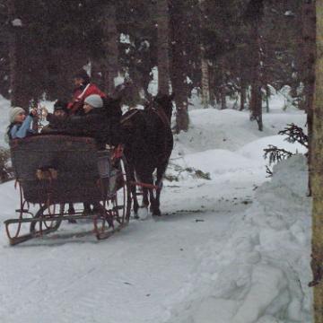Vogtland 2010 011