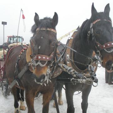 Vogtland 2010 013