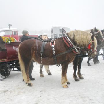 Vogtland 2010 014