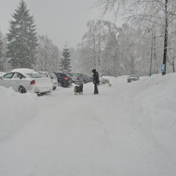 Vogtland 2010 034