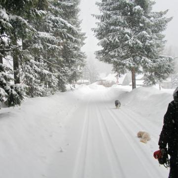 Vogtland 2010 038