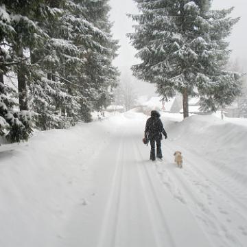 Vogtland 2010 039