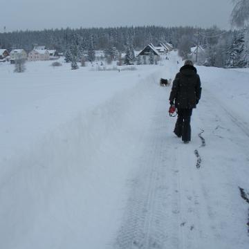 Vogtland 2010 048