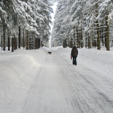Vogtland 2010 049