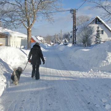 Vogtland 2010 055