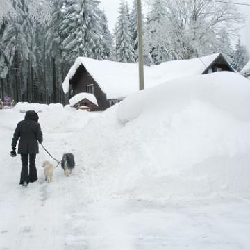 Vogtland 2010 059
