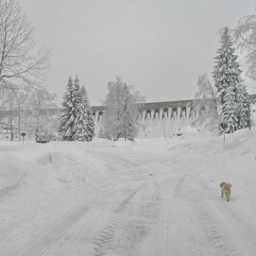 Vogtland 2010 063