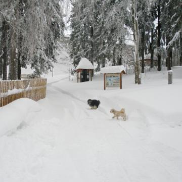 Vogtland 2010 065