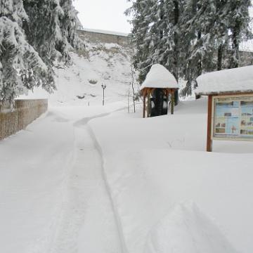 Vogtland 2010 067