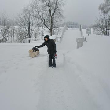 Vogtland 2010 073