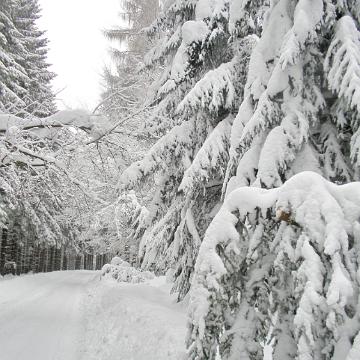 Vogtland 2010 107