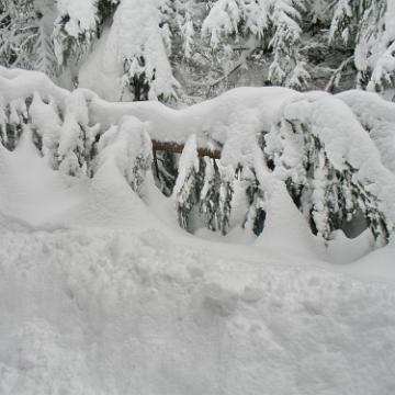 Vogtland 2010 109
