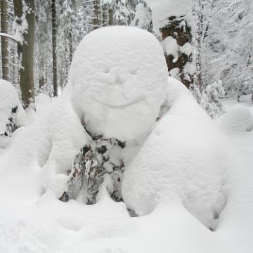 Vogtland 2010 110