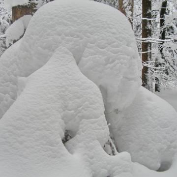 Vogtland 2010 111