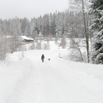 Vogtland 2010 114