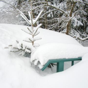 Vogtland 2010 115