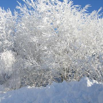 Vogtland 2010 124