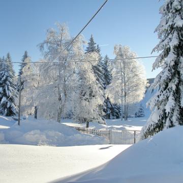 Vogtland 2010 126