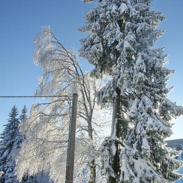 Vogtland 2010 127
