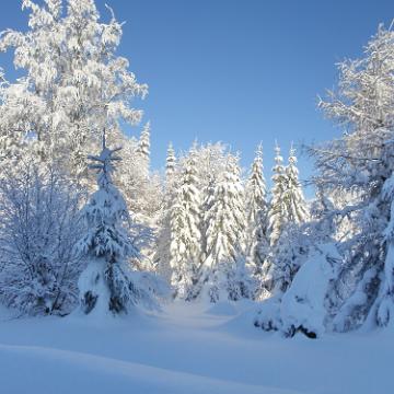 Vogtland 2010 132