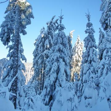 Vogtland 2010 136