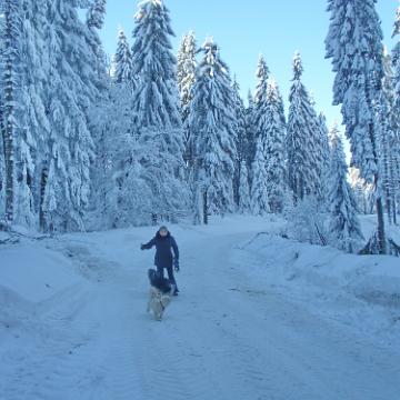 Vogtland 2010 137