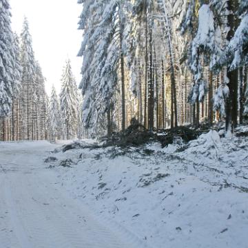 Vogtland 2010 138