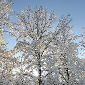 Vogtland 2010 139