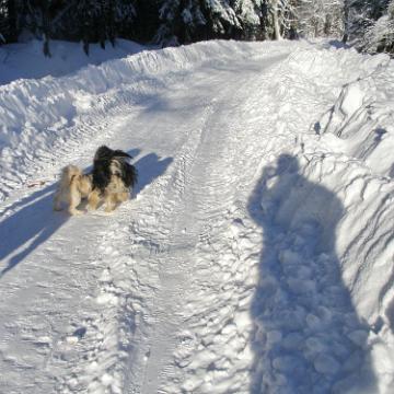 Vogtland 2010 145