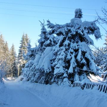 Vogtland 2010 146