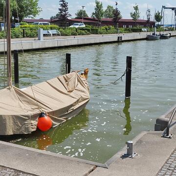 Cabriotour 2025 Darss 005