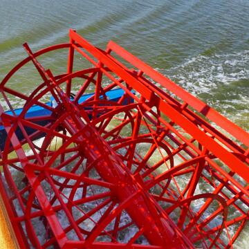 Cabriotour 2025 Darss 103