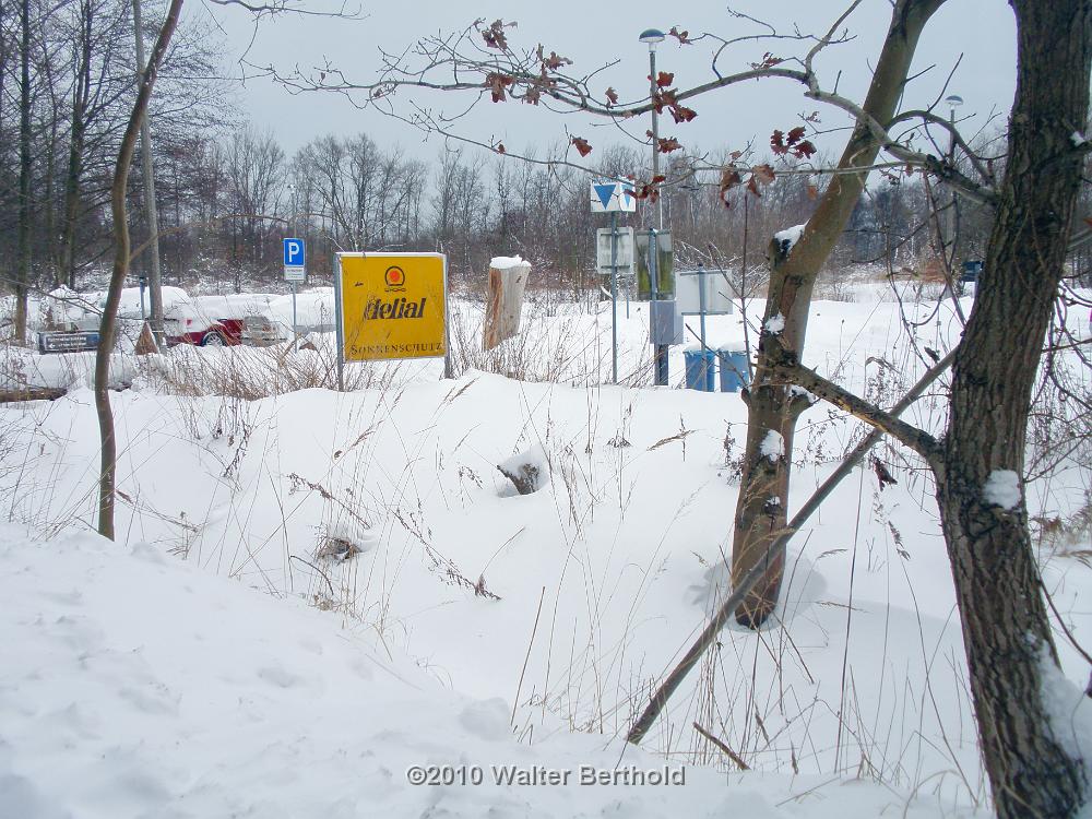 Zingst 2010 07