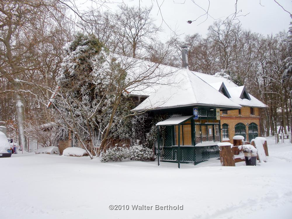 Zingst 2010 15