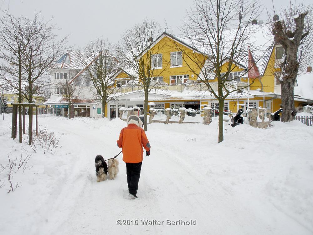 Zingst 2010 20